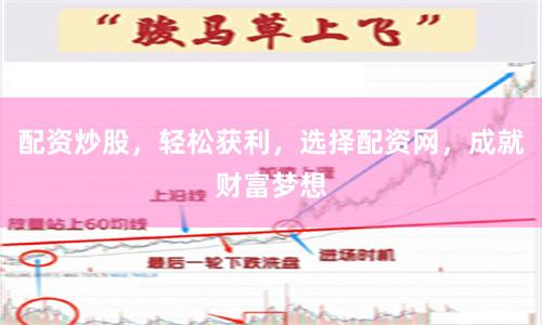 配资炒股，轻松获利，选择配资网，成就财富梦想